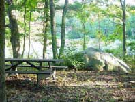 campsite with picnic table